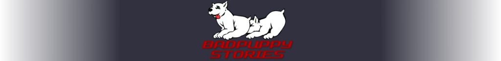 Stories-Logo-Med 2